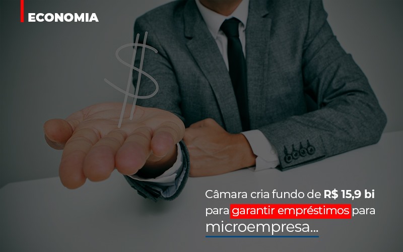 Camara Cria Fundo De Rs 15 9 Bi Para Garantir Emprestimos Para Microempresa Abrir Empresa Simples - Contabilidade em Palmas