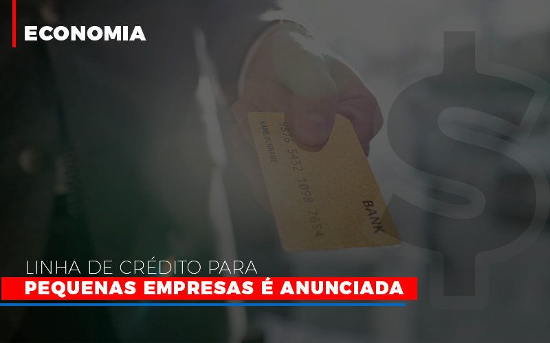 Linha De Credito Para Pequenas Para Pequenas Empresas E Anunciada - Contabilidade em Palmas
