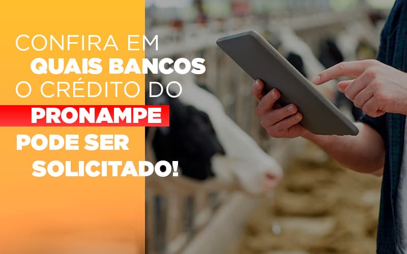 Confira Em Quais Bancos O Credito Pronampe Ja Pode Ser Solicitado - Contabilidade em Palmas